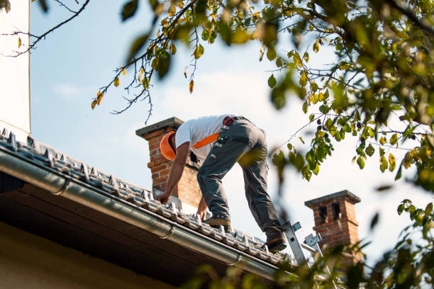 Best Gutter Installation and Roofing  in Rosaryville, MD